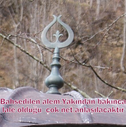 http://www.yesilalan.net/images/other/372.jpg